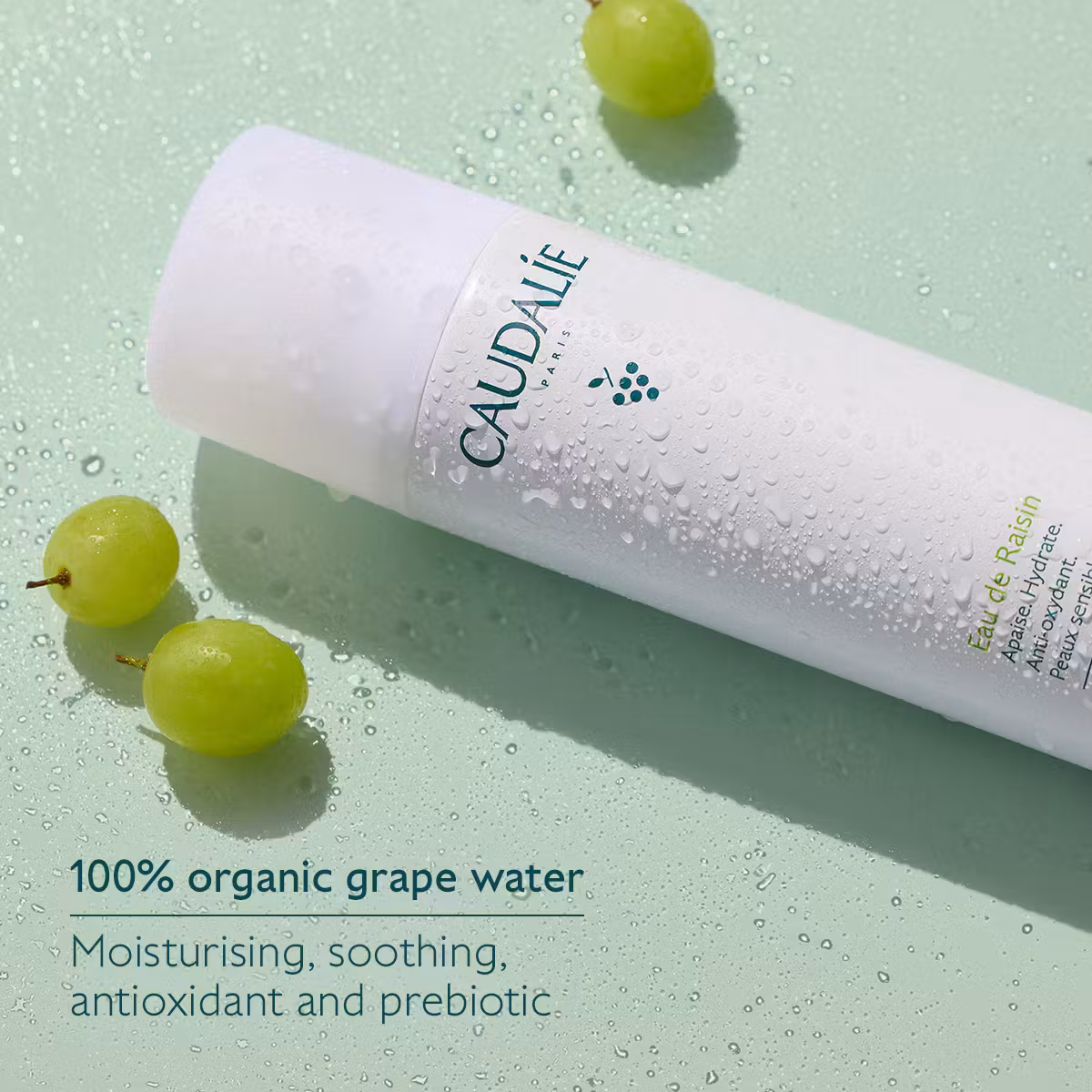 Caudalie Grožđana vodica 75 ml - Slika 3