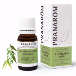 Pranarom Eukaliptus radiata eterično ulje 10 ml