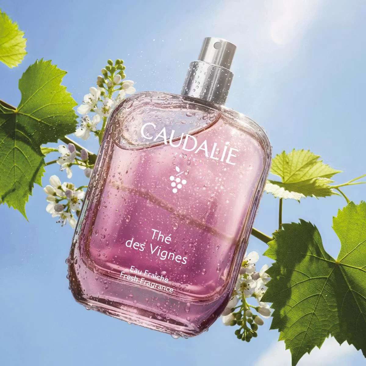 Caudalie Thé des Vignes miris 100 ml - Slika 2