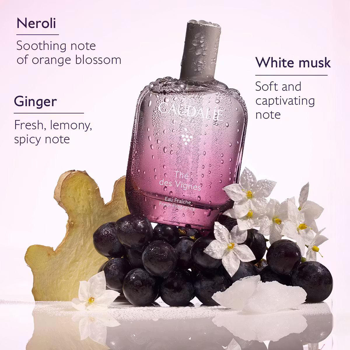 Caudalie Thé des Vignes miris 100 ml - Slika 3