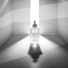 SKIN1004 Madagascar Centella Tone Brightening Capsule Ampoule - Slika 4