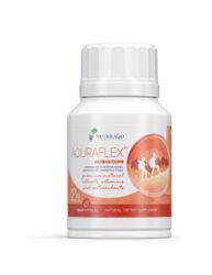 Nutrilago Acuraflex Pro Dynamic 60 kapsula