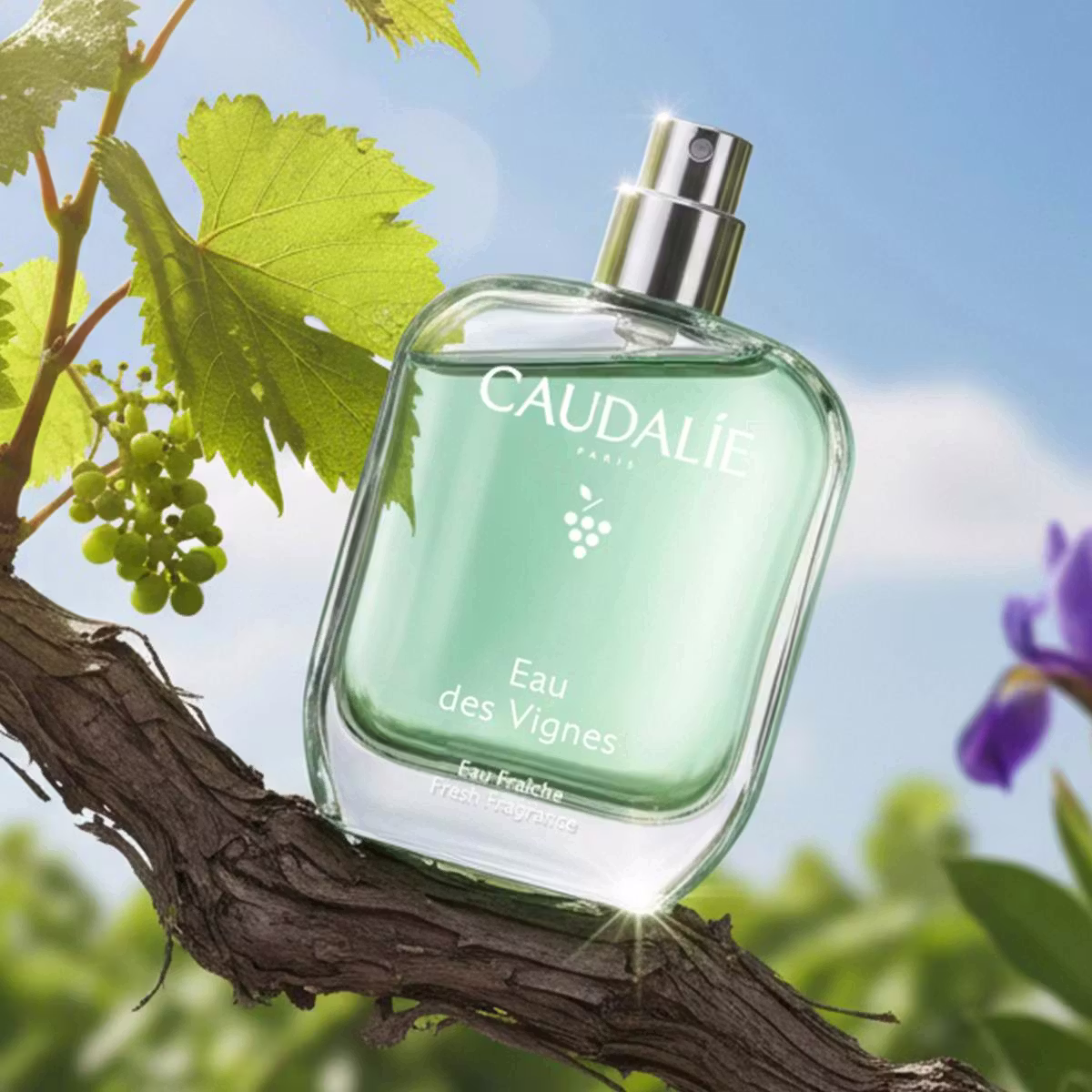 Caudalie Eau des Vignes miris 50 ml - Slika 3