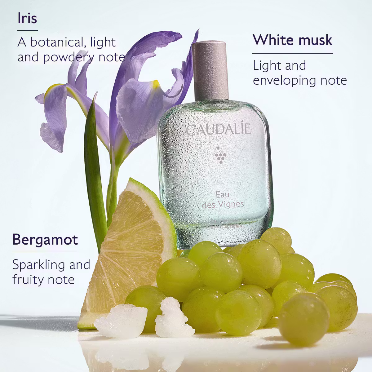 Caudalie Eau des Vignes miris 50 ml - Slika 4