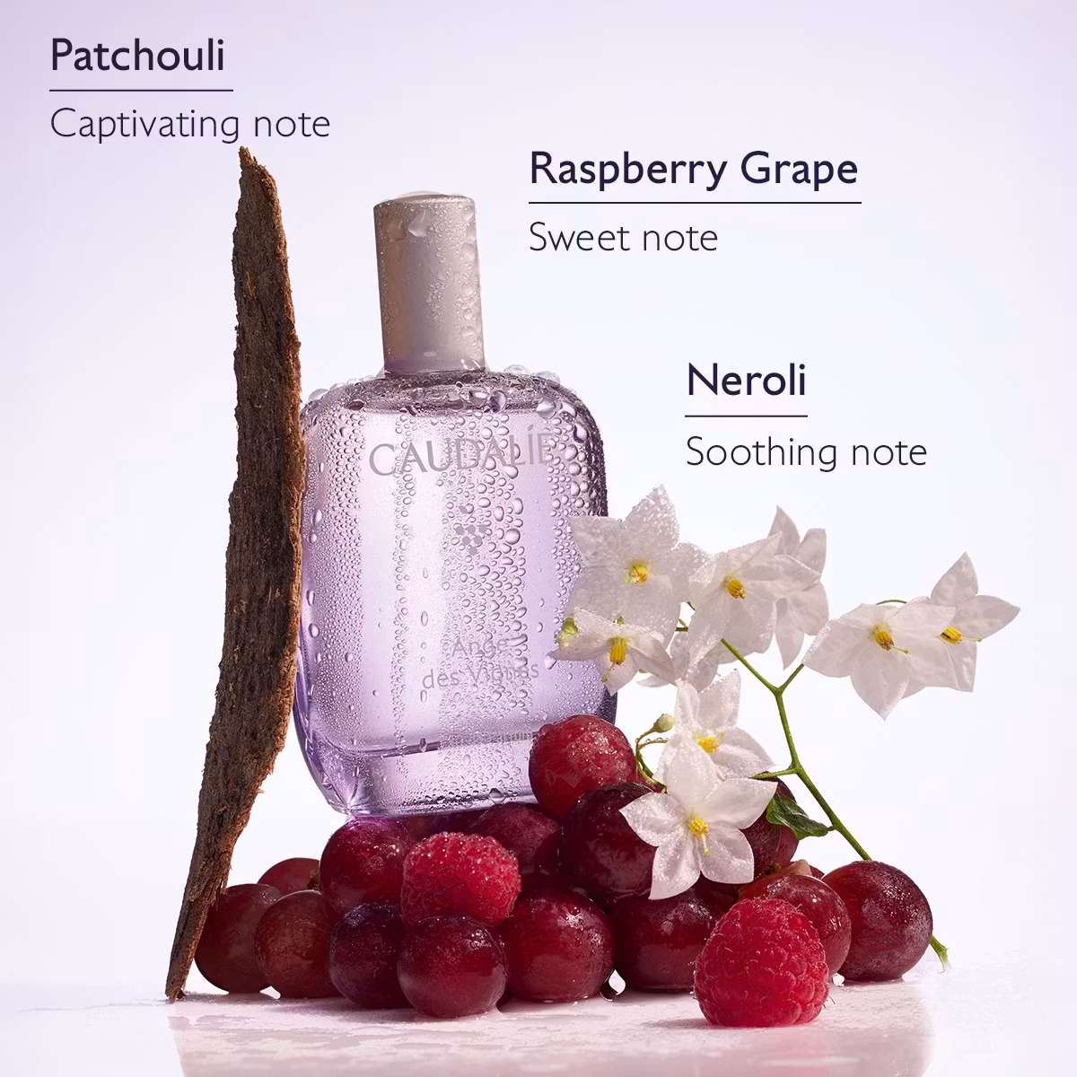 Caudalie Ange des Vignes miris 50 ml - Slika 4