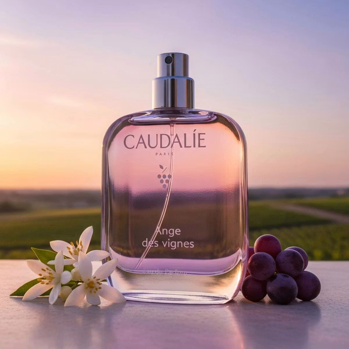Caudalie Ange des Vignes miris 50 ml - Slika 2